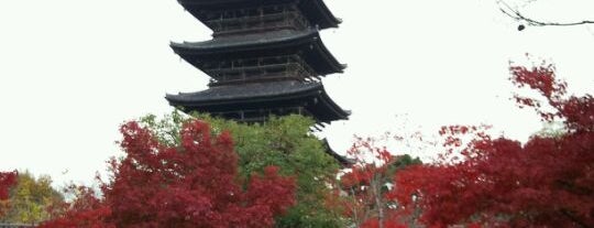 To-ji is one of 京都の定番スポット　Famous sightseeing spots in Kyoto.