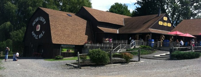 Beak And Skiff Apple Farm is one of A Tour Guide to Syracuse.