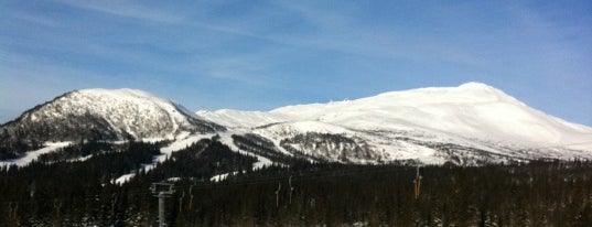 Åre Björnen is one of The Best Skiing in the World.