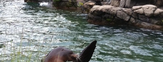 Prospect Park Zoo is one of Summer 2013.