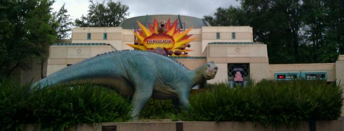 Dinosaur is one of Great Disney Spots.