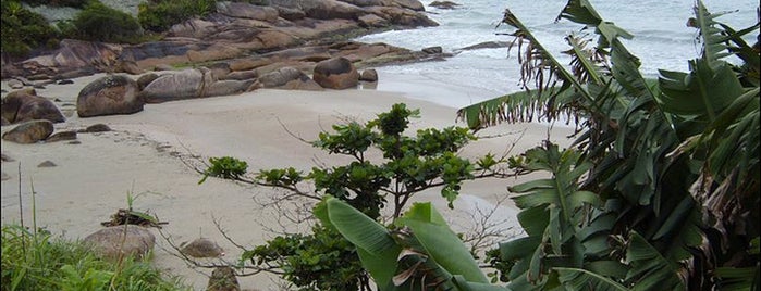 Prainha do Leste is one of Praias de Florianópolis.