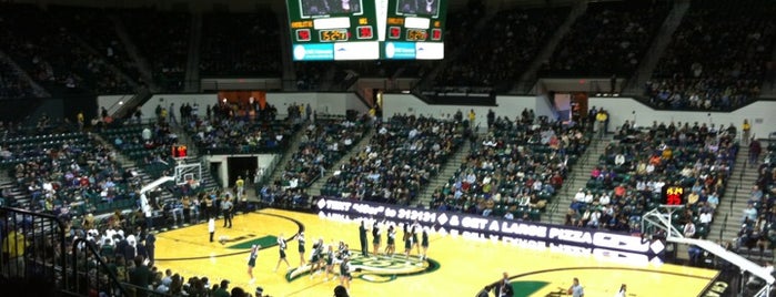 Dale F. Halton Arena is one of Division I Basketball Arenas in North Carolina.