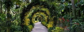 Singapore Botanic Gardens is one of Garden Getaways.