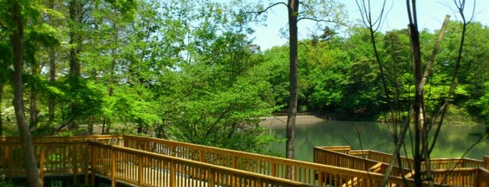 Sayama Park is one of 東京都立の公園・庭園.