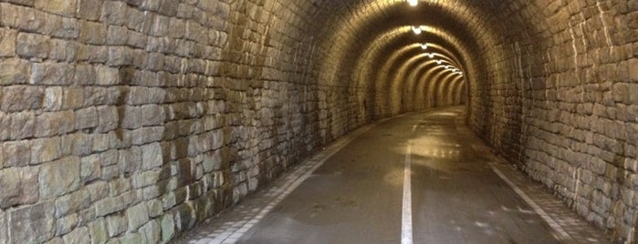 Schulenbergtunnel is one of Wo ich hin will.