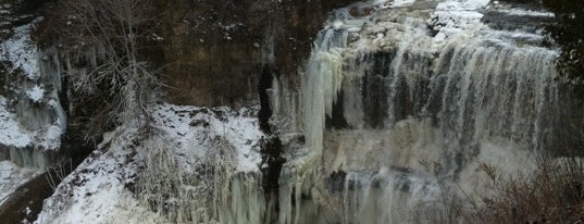 Webster's Falls is one of Local excursions.
