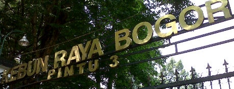 Kebun Raya Bogor is one of All About Holiday!.