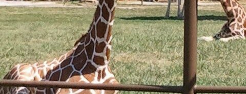 Tulsa Zoo is one of Kevin C..