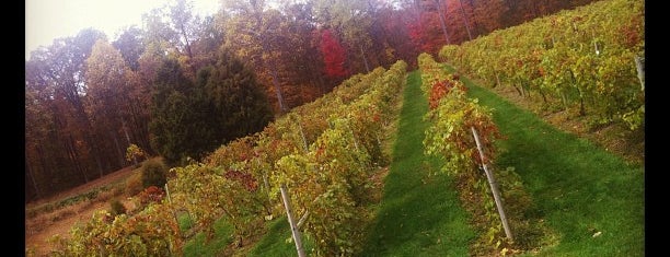 Butler Winery is one of Bloomington to-do.