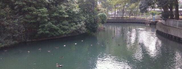 Yokojikken River Park is one of Parks & Gardens in Tokyo / 東京の公園・庭園.