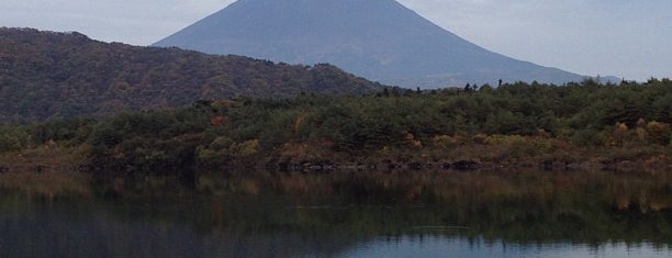 Lake Saiko is one of 何度でも行きたい場所.
