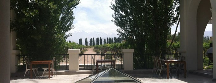 Cavas Wine Lodge is one of Mendoza: Bodegas y Viñedos.