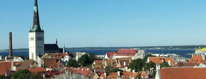 Eesti linnad/Estonian cities