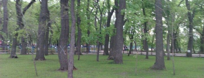 Городской парк культуры и отдыха им. М. Горького is one of Бесплатный Wi-Fi.