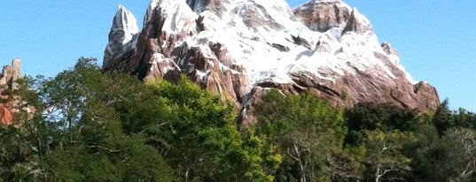 エクスペディション・エベレスト is one of Disney Sightseeing: Animal Kingdom.