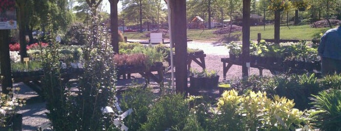 Campbell Road Nursery is one of Lieux qui ont plu à Arthur.