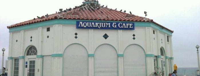 Roundhouse Marine Lab & Aquarium is one of la to do..