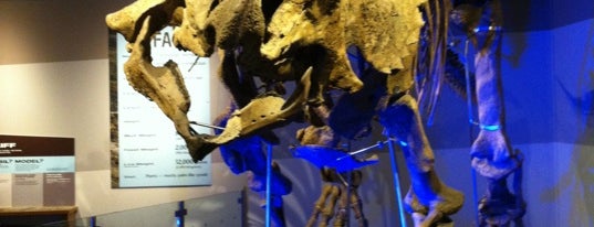 Dinosaur Exhibit @ The Museum Of Science is one of Guide to Boston's best spots.