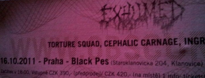 Black Pes Club is one of 5.) Diskotéky.