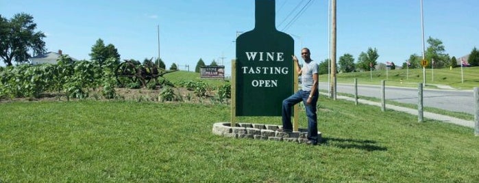 Stone Pillar Vineyard & Winery is one of Winery.