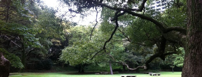 Hamarikyu Gardens is one of Parks & Gardens in Tokyo / 東京の公園・庭園.