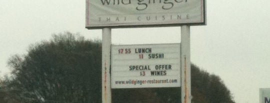 Wild Ginger Thai Cuisine is one of New Atlanta 2.
