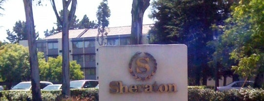 Sheraton Palo Alto Hotel is one of My Favorite Hotels (with Insider Tips!).