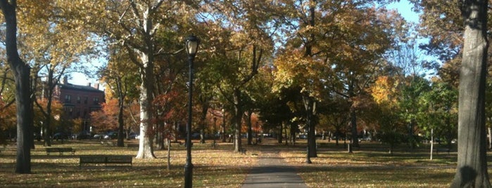 Wooster Square Park is one of New Haven favs.