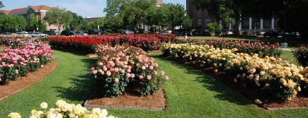 All-American Rose Garden is one of Southern Miss Bucket List.