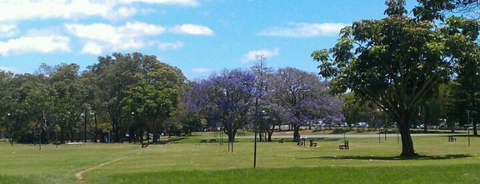 Downey Park is one of Brisbane Places to Visit.