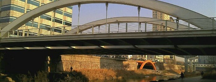 비우당교 is one of Bridges over Cheonggyecheon.