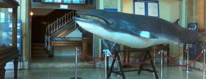 Aquário Vasco da Gama is one of TOP Oeiras.