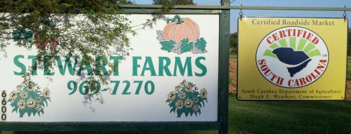 Stewart Farms is one of Upstate SC/Western NC Farms and Corn Mazes.