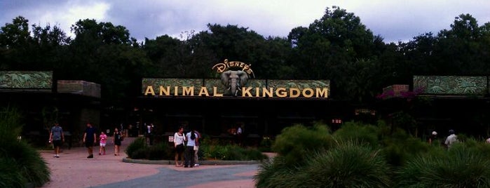 Disney's Animal Kingdom is one of Great Disney Spots.