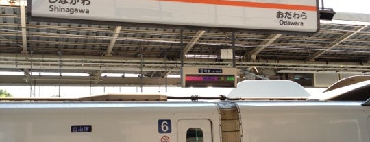 신요코하마역 is one of 東京近郊区間主要駅.