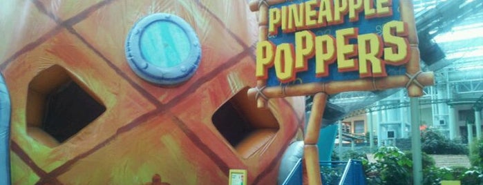 Pineapple Poppers is one of Junior Rides.