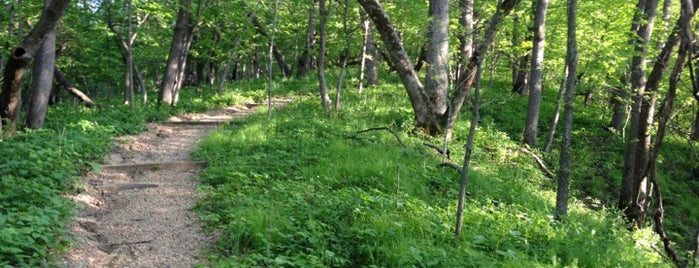 Kilen Woods State Park is one of Minnesota State Parks.