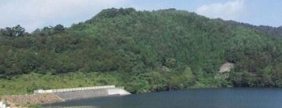 大内ダム is one of Dam.