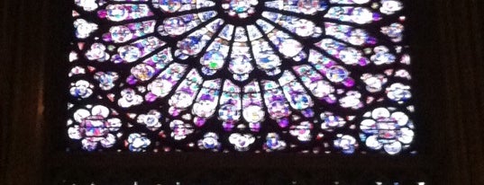 Catedral de Nuestra Señora de París is one of My favorite places in Paris.