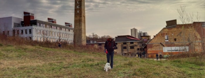 Evergreen Brick Works is one of Toronto Off-Leash Dog Parks.