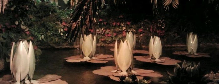 De Indische Waterlelies is one of De Efteling.