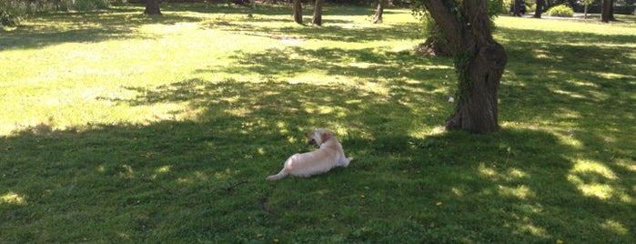 Cherry Lawn Park is one of Lugares guardados de Steena.