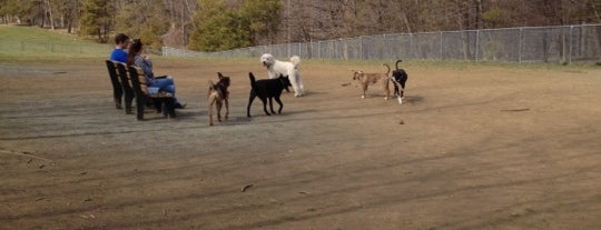 Central Park County Dog Park is one of Dog Friendly Place in North Jersey.