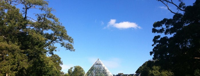 Royal Botanic Garden is one of Check out in Sydney.