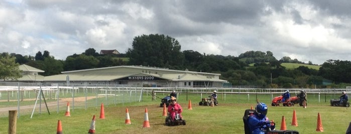 Newton Abbot Racecourse & Conference Centre is one of Horse Racecourses of UK.