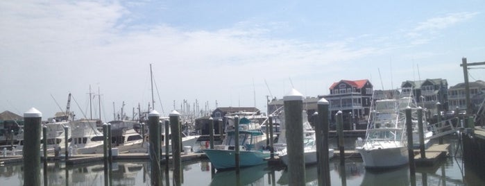 Cape May Harbor is one of Jersey.
