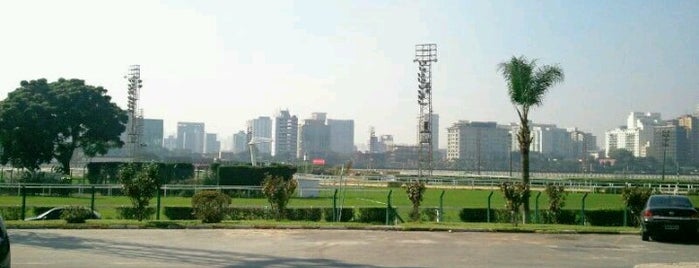 Jockey Club de São Paulo is one of Destaques do percurso da Maratona de São Paulo.