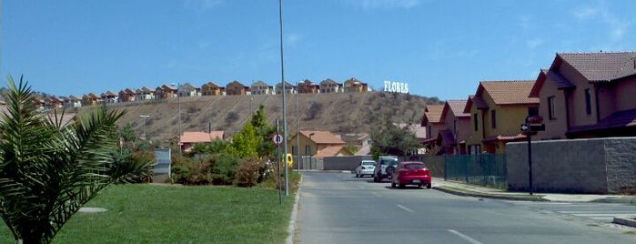 Ciudad de Los Valles is one of Lugares favoritos de Alvaro.