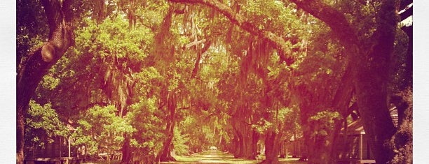 Evergreen Plantation is one of A&J (the other j) do NOLA!.